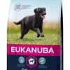 Eukanuba Adult Large Breed 12kg -Dog food Shop 0001583 eukanuba adult large breed 12kg 600
