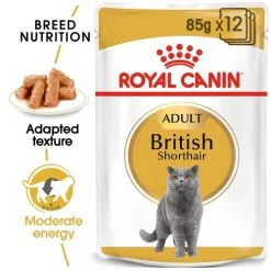 Royal Canin Cat - Pouch Box British Shorthair In Gravy 12x85g -Dog food Shop 0020929 royal canin cat pouch box british shorthair in gravy 12x85g