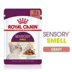 Royal Canin Cat - Pouch Box Sensory In Gravy - Smell 12x85g -Dog food Shop 0020938 royal canin cat pouch box sensory in gravy smell 12x85g