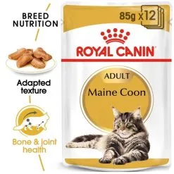 Royal Canin Cat - Pouch Box Maine Coon 12x85g -Dog food Shop 0020955 royal canin cat pouch box maine coon 12x85g