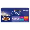 Purina ONE Adult Mini Fillets Mixed Selection In Gravy Wet Cat Food 40x85g -Dog food Shop 0021736 purina one adult mini fillets mixed selection in gravy wet cat food 40x85g 600