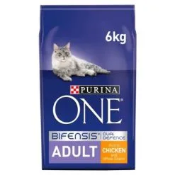 Purina ONE Adult Chicken And Whole Grains Dry Cat Food 6kg