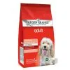 Arden Grange Dog - Adult Chicken & Rice 12kg