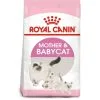 Royal Canin Cat - Mother & Baby Cat 2kg -Dog food Shop 0022036 royal canin cat mother baby cat 2kg