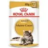 Royal Canin Cat - Pouch Box Maine Coon 12x85g