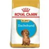 Royal Canin Dog - Dachshund Puppy 1.5kg