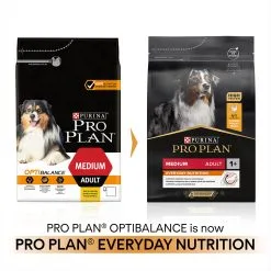 Pro Plan Dog - Medium Adult Everyday Nutrition Chicken & Rice 14kg -Dog food Shop 0028938 pro plan dog medium adult everyday nutrition chicken rice 14kg