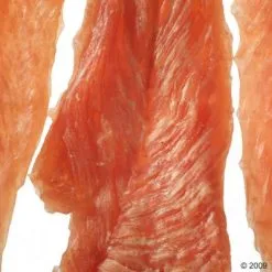 Dog food Shop -Dog food Shop 146946 rocco chings getrock 2