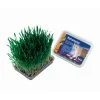Applaws Nobby Cat Grass 1 Applaws Nobby Cat Grass -Dog food Shop 3f205aabc2b7e8546cfcd049132a8bd13083971ba15b6c5ff85c3dc9d9f29228 3 5