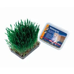Applaws Nobby Cat Grass