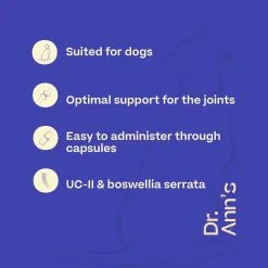 Dr. Ann's Mobility Support Advanced -Dog food Shop I8rbKTuRHyR6VyOLpS5MUhxe3TMwZq metacHJvZHVjdC1mZWF0dXJlcy0tLU1vYmlsaXR5LXN1cHBvcnQtVUsuanBn