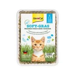 Holland Animal Care GimCat Cat Grass -Dog food Shop KuMubvHYONNEiBFBW35G9GiNhnX4nG metaZ2ltY2F0X2thdHRlbmdyYXNfMjEzNzQ2XzA1MDBfbm9uZS5qcGc 1 1
