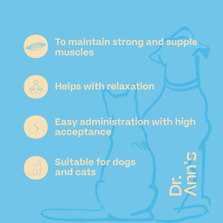 Dr. Ann's Dr Ann's Magnesium 7 Dr. Ann's Dr Ann's Magnesium -Dog food Shop TVckLs55OO6pKJCzRs0o5POFUt8juj metaUHJvZHVjdF90ZWdlbF9Eci5Bbm5zX21hZ25lc2l1bV9VS1sxXS5wbmc