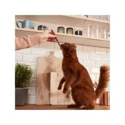 Yarrah GimCat Sticks 15 Yarrah GimCat Sticks -Dog food Shop gimcat sticks 158285 2000 none