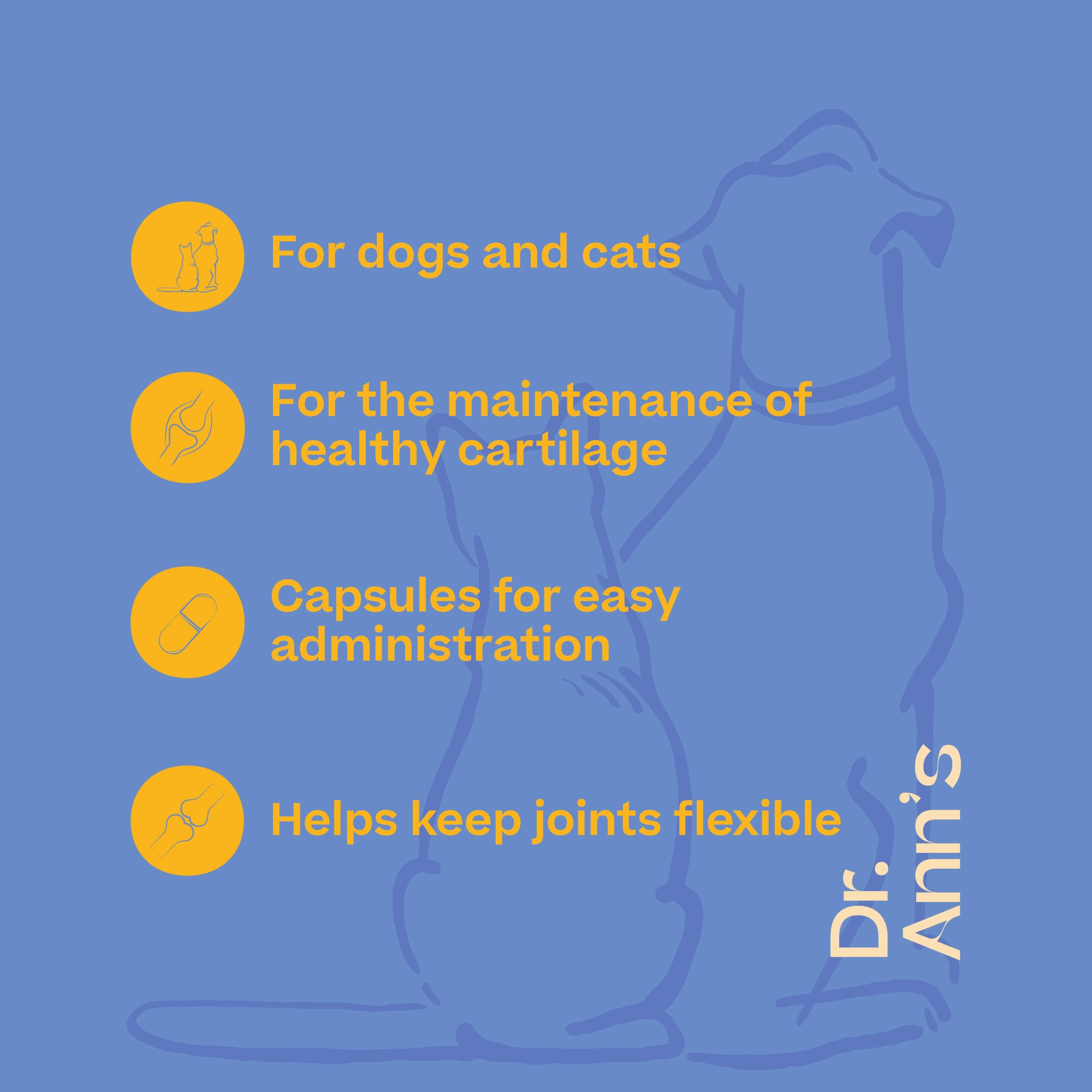 Dr. Ann's Mobility Support Plus 9 Dr. Ann's Mobility Support Plus - Image 7