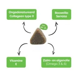 Sanimal Supple Joints -Dog food Shop pgwF6aDsefsMn94zsvXC235wXwxgtC metac2FuaW1hbF9zb2VwZWxlX2dld3JpY2h0ZW5fMjE5NzUwXzA1MDBfbm9uZS5qcGc