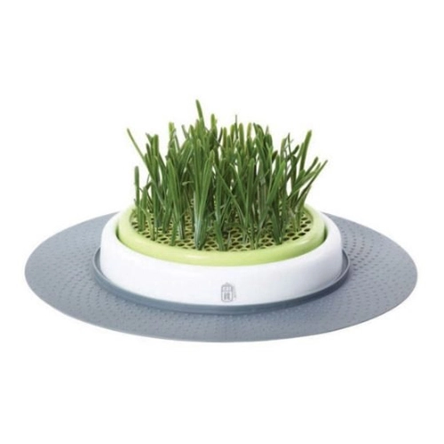 Catit Design Catit Senses Grass Garden - Image 2